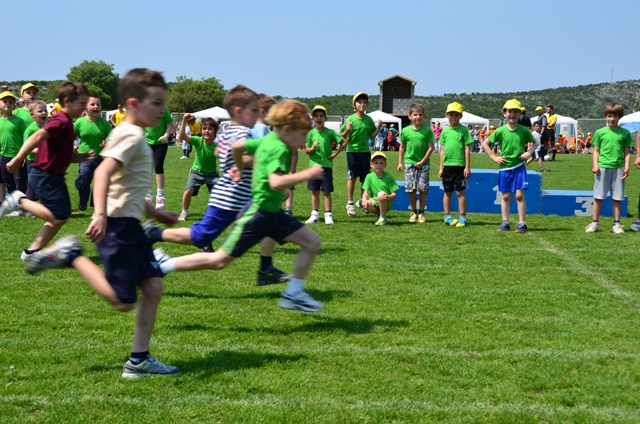 11_ofdv_tafeta 11_ofdv_tafeta