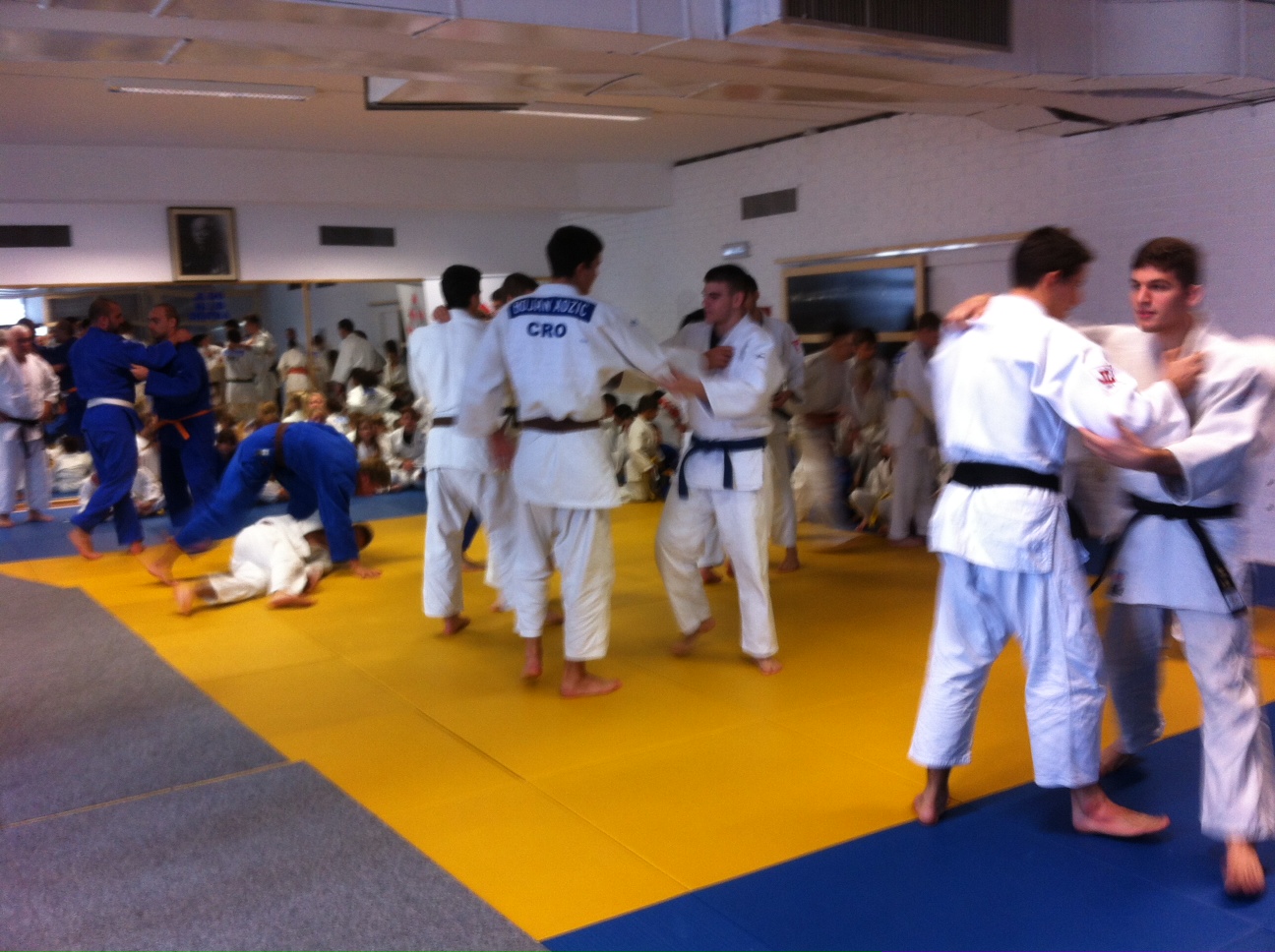 judo_3._maj